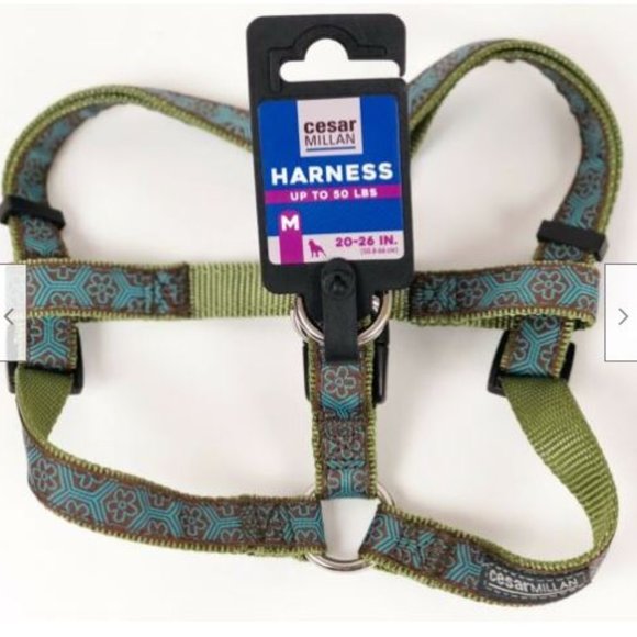 cesar millan harness